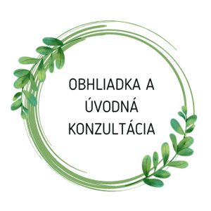 obhliadka a úvodná konzultácia
